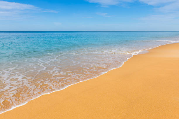 istock tropical beach in summer and sand sea sky 1090087012