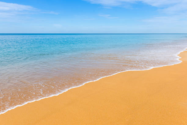 istock tropical beach in summer and sand sea sky 1090087064