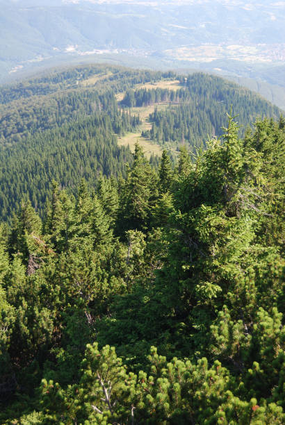istock Ski-slope of Kom, Berkovitsa 1090089336