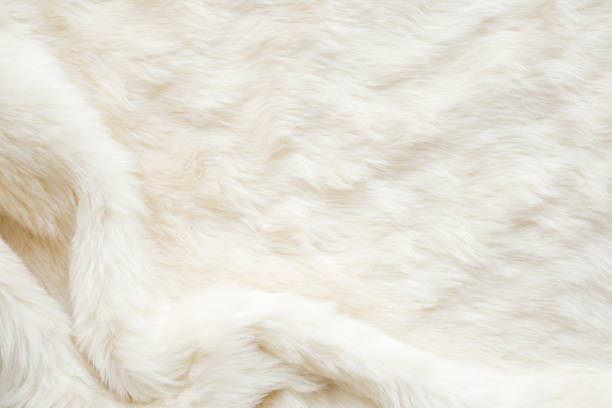 istock Light, white, furry blanket with wavy folds as elegant background. Empty place for text, quote or sayings. Top view. Closeup. 1090094842