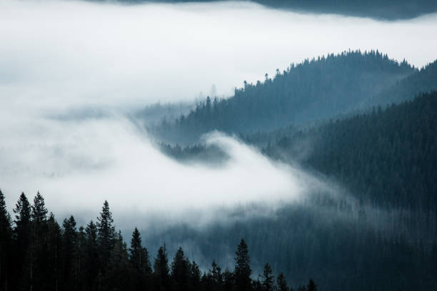 istock Sunrise in the mountains with clouds in valley. 1090094944