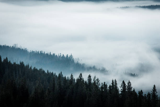 istock Sunrise in the mountains with clouds in valley. 1090094950
