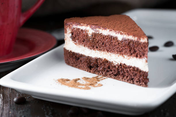 istock Tiramisu dessert 1090097138
