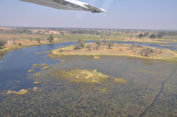 istock Aerial view of Delta Okavango 1090111922