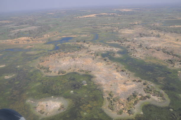 Aerial view of Delta Okavango Aerial view of Delta Okavango 2933 stock pictures, royalty-free photos & images