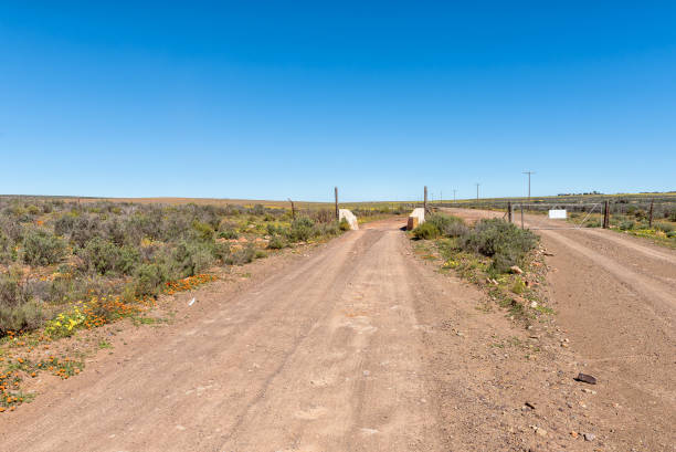 istock Cattle grid, gate and wildflowers near Papkuilsfontein 1090112278