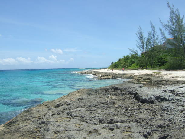 istock Mexico Cozumel Summer Beach 1090116286