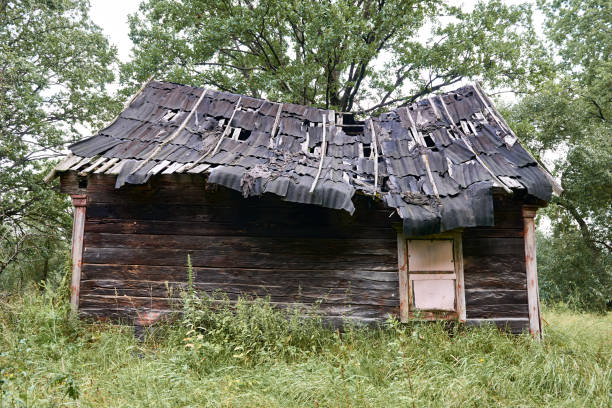 istock old wooden house in the forest 1090136948