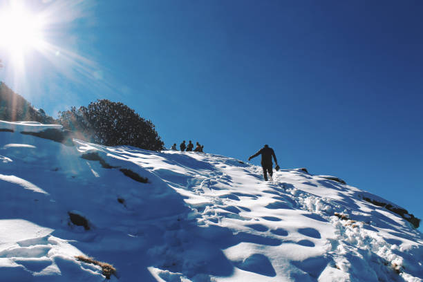 trekking in snow. - garhwal imagens e fotografias de stock