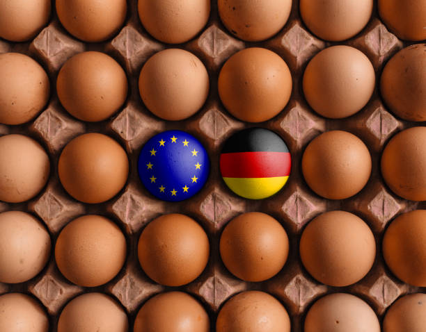istock EU European union and German Germany flags on eggs at eggshell 1090150326