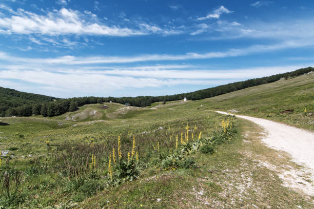 istock Landscape of the Simbruini Mountains 1090153570