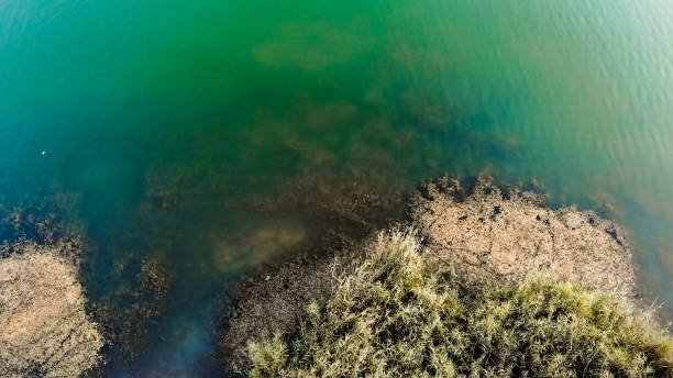istock Aerial view of lake surrounded by forest 1090164268