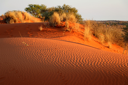 beautiful view of the Kalahari desert - Namibia Africa