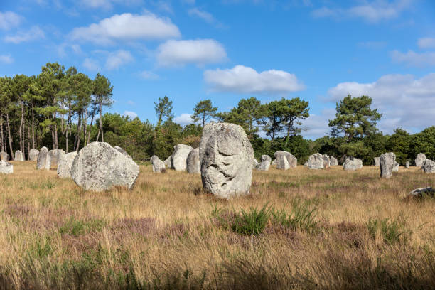 istock Megalithic site of Carnac 1090169542