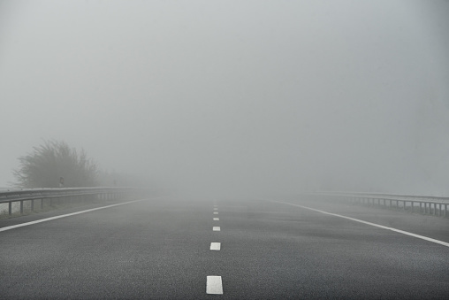 An empty dirt road through the old trees in a strong morning fog. Forest in the background. Country landscape. Latvia