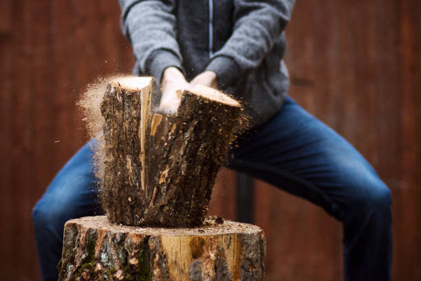 istock lumberjack cutting wood 1090175028