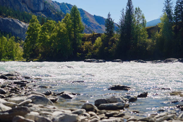 istock Scenic views of a mountain river 1090177014