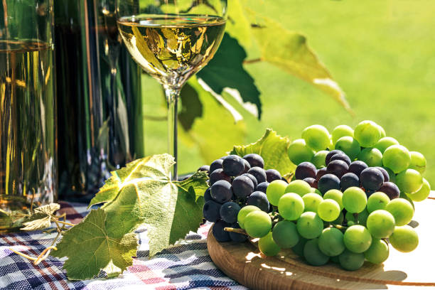 istock Wine and fresh grapes in a rustic vineyard 1090177392
