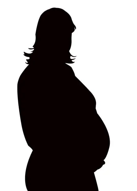 Vector illustration of a pregnant woman silhouette vector