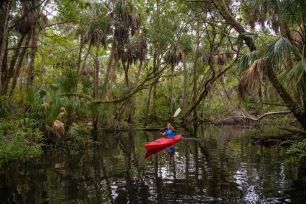 istock Girl Kayaking in a River 1090190178