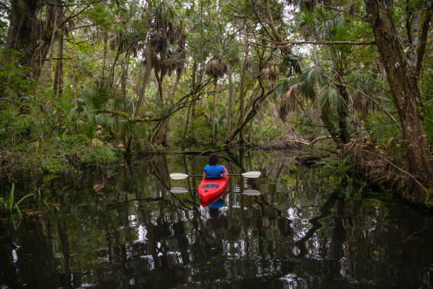 istock Girl Kayaking in a River 1090190246