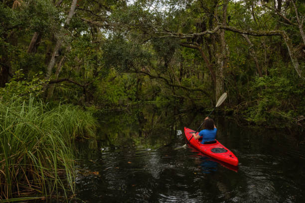 istock Girl Kayaking in a River 1090190364