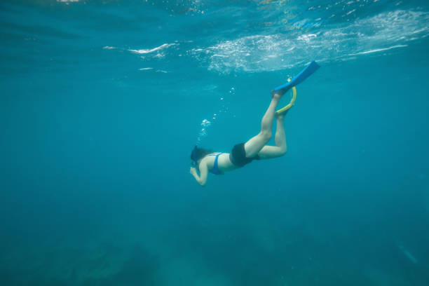 istock Snorkeling at the Reefs in Key West 1090197014