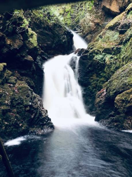 naturaleza que fluye de agua cascada reino unido - highland cattle england cow north fotografías e imágenes de stock