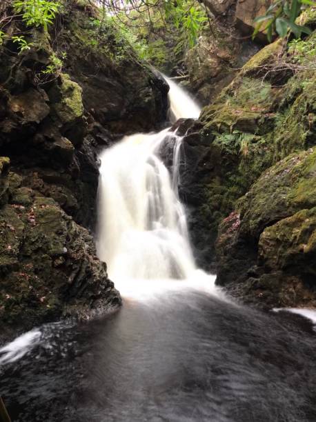 naturaleza que fluye de agua cascada reino unido - highland cattle england cow north fotografías e imágenes de stock