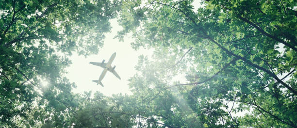 Eco-friendly air transport concept. The plane flies in the sky against the background of green trees. Environmental pollution. Harmful emissions stock photo