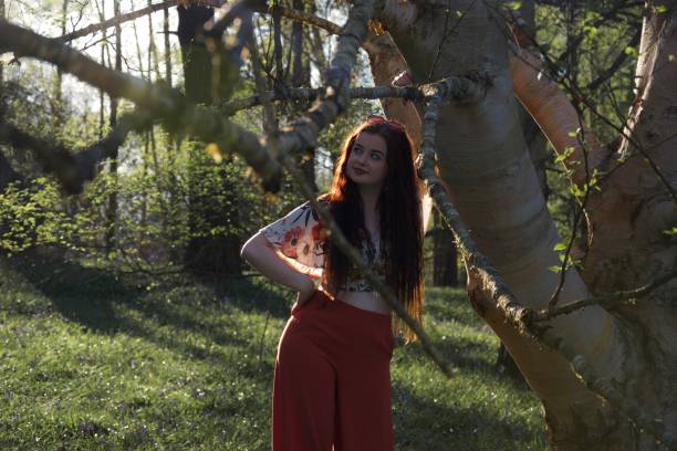 fashionable young lady back lit on an evening in a wood with a silver birch tree - back lit women one person spring imagens e fotografias de stock