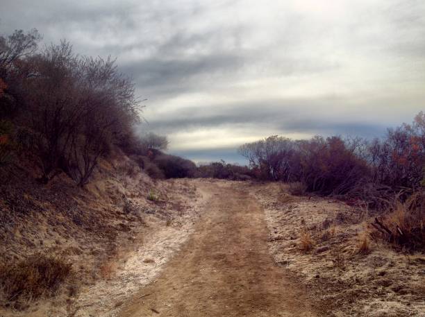 Tuna Canyon, California