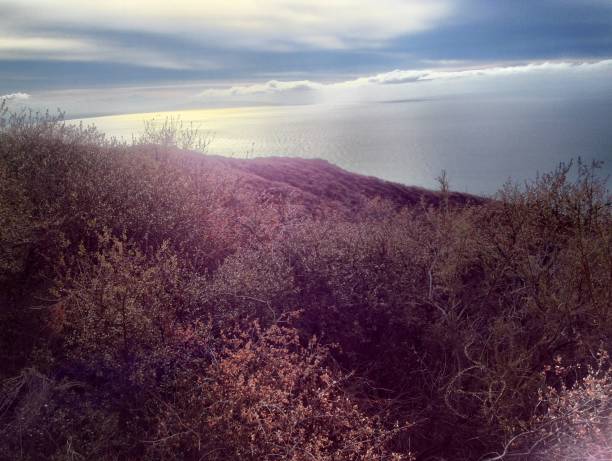 hillsdie cheio de vegetação acima do oceano pacífico, nas montanhas de santa monica - santa monica california route 1 pacific coast highway - fotografias e filmes do acervo