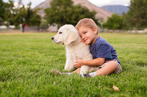 A young boy hugs a young golden labrador retriever puppy. This toddler is so happy to play at the park with his favorite animal, a dog. Image taken in Utah, USA.