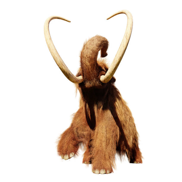 istock woolly mammoth, running prehistoric mammal isolated on white background 1090239484