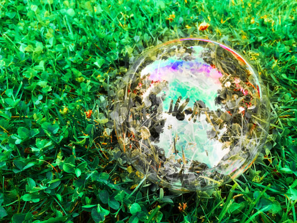 istock bubble on green grass in the summer 1090239546