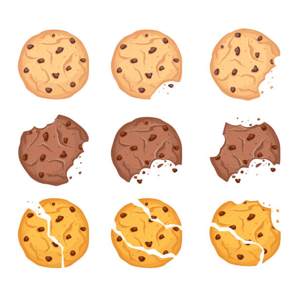 ilustrações de stock, clip art, desenhos animados e ícones de vector illustration set of different shapes oatmeal, chocolate and wheaten cookies with chocolate drops and crumbs isolated on white background. - cookie chocolate chip chocolate chip cookie cartoon