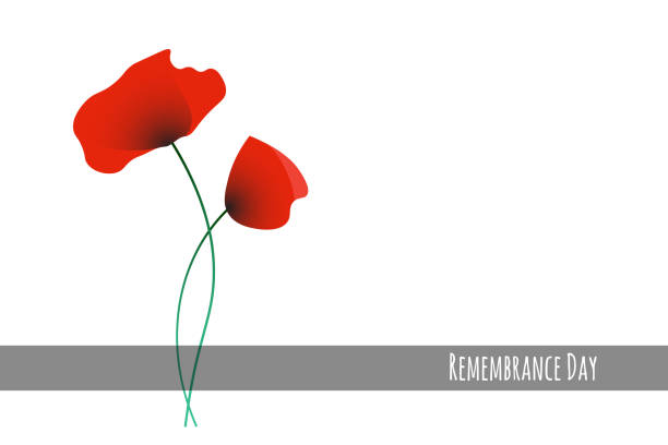 Remembrance Day vector illustration Remembrance Day vector illustration with symbolic commemorative red poppy flowers remembrance day background stock illustrations