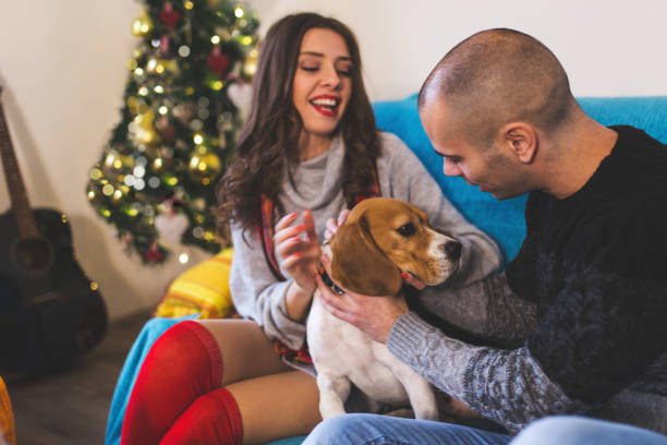 istock Christmas time with best friend 1090242120