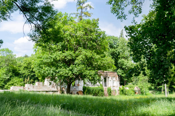 The Meadows (Tavistock Park) public park