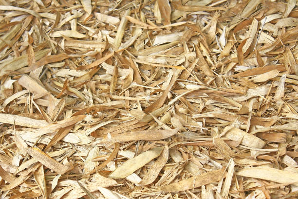 istock Dried bamboo leaves on background 1090253736