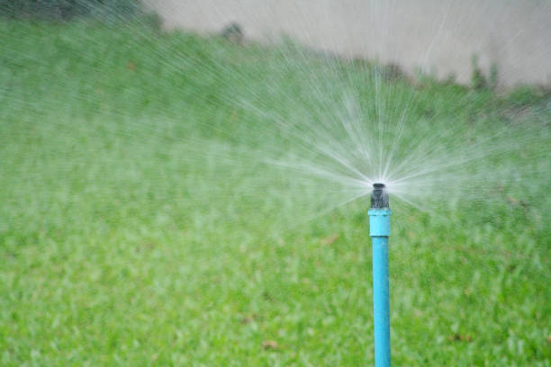 istock Watering the grass in garden 1090255358