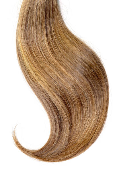 istock Brown hair isolated on white background. Long beautiful ponytail 1090255394
