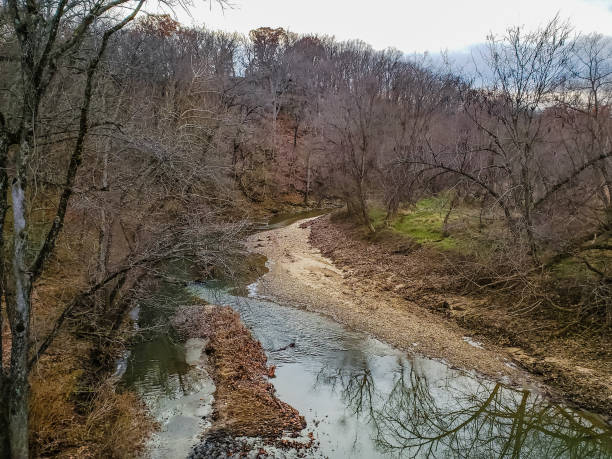 istock Creek in the woods surrounded with bare trees in late fall 1090260550