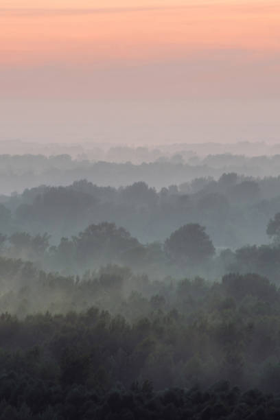 istock Mystical view from top on forest under haze at early morning. Eerie mist among layers from tree silhouettes in taiga under predawn sky. Morning atmospheric minimalistic landscape of majestic nature. 1090262482
