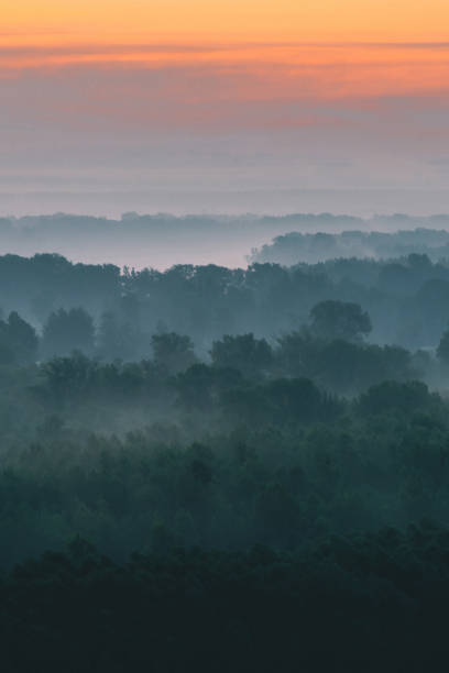 istock Mystical view from top on forest under haze at early morning. Mist among layers from tree silhouettes in taiga under warm predawn sky. Morning atmospheric minimalistic landscape of majestic nature. 1090262498