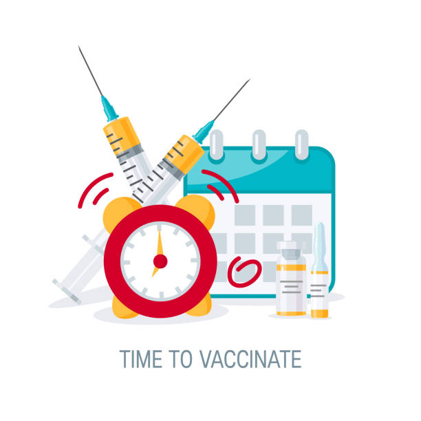 Vaccination concept, vector image in flat style Time to vaccinate concept. Syringes, bottles of vaccine, alarm clock and a calendar. Vector illustration in flat style flu shot calendar stock illustrations