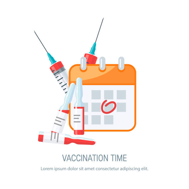 Vaccination concept, vector image in flat style Vaccination concept. Syringes, bottles of vaccine and a calendar. Vector illustration in flat style flu shot calendar stock illustrations