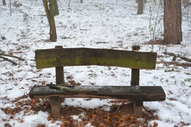 Lonely wooden bench sitting in the middle of the forest in winter.