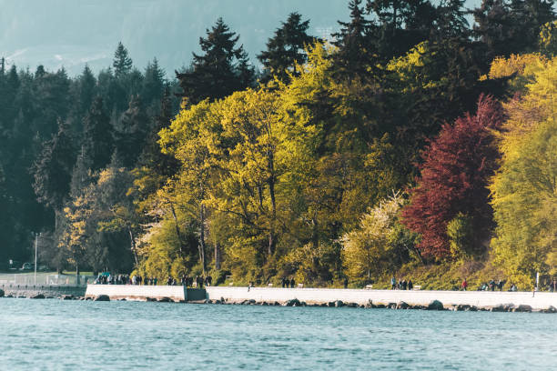 istock Stanley Park view from English Bay in Vancouver, BC, Canada 1090287274